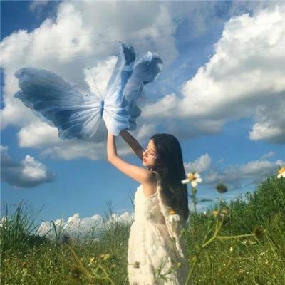 美丽之星